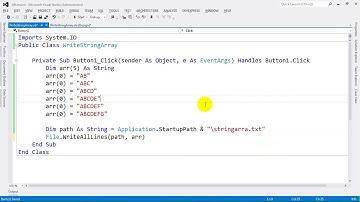 Write String Array into a text file in VB NET 2012