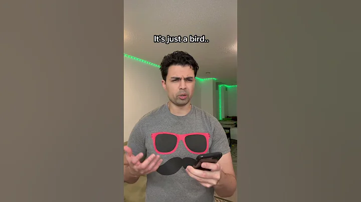 2015 Birds are back 😢 #shorts