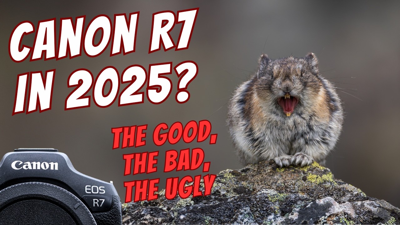 Canon R7 in 2025 – The Good, The Bad & The Grizzly 🐻