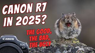 : Canon R7 in 2025  The Good, The Bad & The Grizzly 