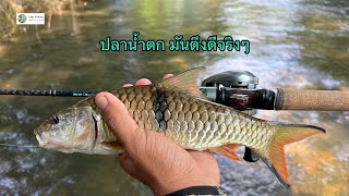 Easy fishing ปลาน้ำตกไม่ยากอย่างที่คิด