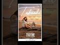 #tabaahi Song Out Now 🔥  #trending #song #toxic #movie