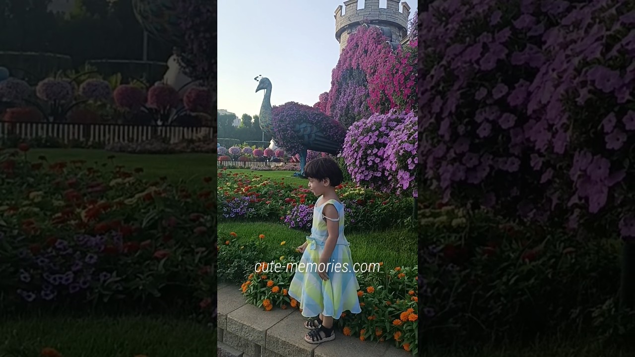 Dubai Miracle Garden - Fort with Peacock 🦚 | #peacock #dubaimiraclegarden #dubaiactivities