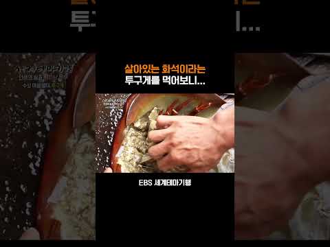 살아있는 화석이라고 불리는 <strong>투구게</strong> #shorts