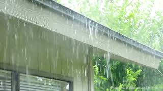 Addio Stress in Meno di 3 Minuti per Addormentarsi Rapidamente con Forti Piogge e Tuoni sul Tetto