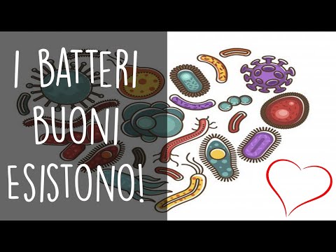 Video: Utilizzo Di Batteri 