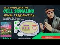 Cell Signaling | Signal Transduction | Cell Communication | Urdu Hindi English | 1st Year Biology