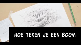 Hoe teken je een boom