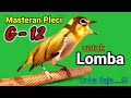 PLECI GACOR suara ngalas - MASTERAN PLECI G12 untuk LOMBA, Coba Saja..!!!