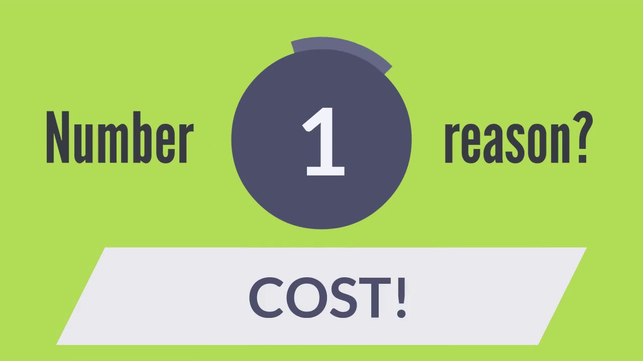 Pet Insurance by Synergy Solutions Group of Virginia YouTube