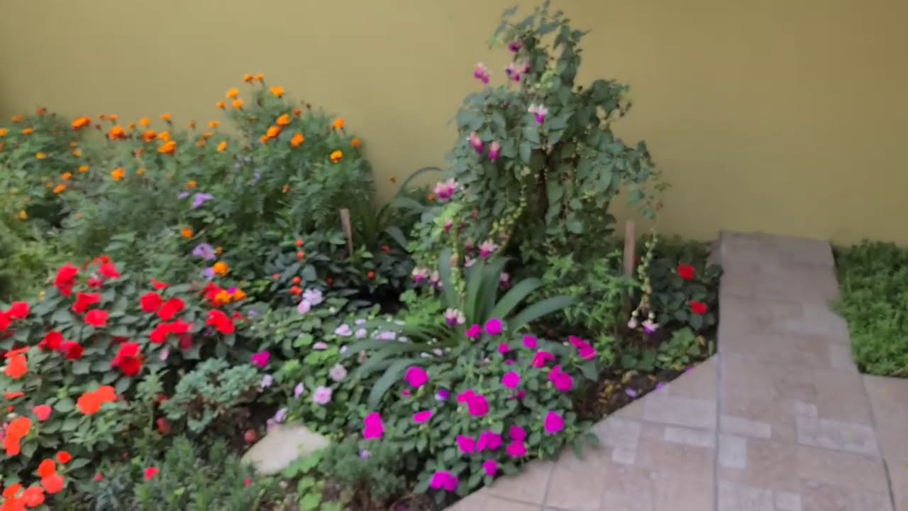 Rengarenk Bir Apartman Bahçesi | Misafir Bahçeler #12