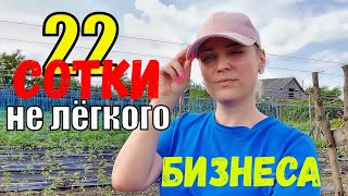 Овощеводы с нуля. Скоро ли увидим наш миллион? Вдвоём не реально?