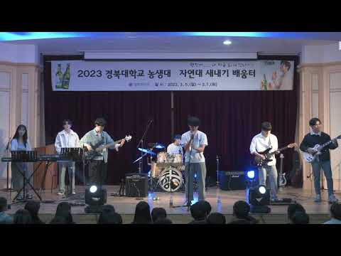 [23-1자과대X농대 새터 공연] 검정치마 - Antifreeze