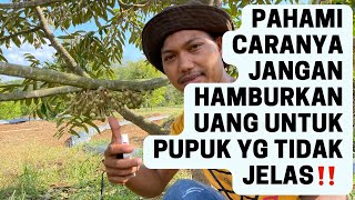 Kebun Durian Usia 3 Tahun Sudah Mulai Berbunga,Simak Penjelasannya‼️