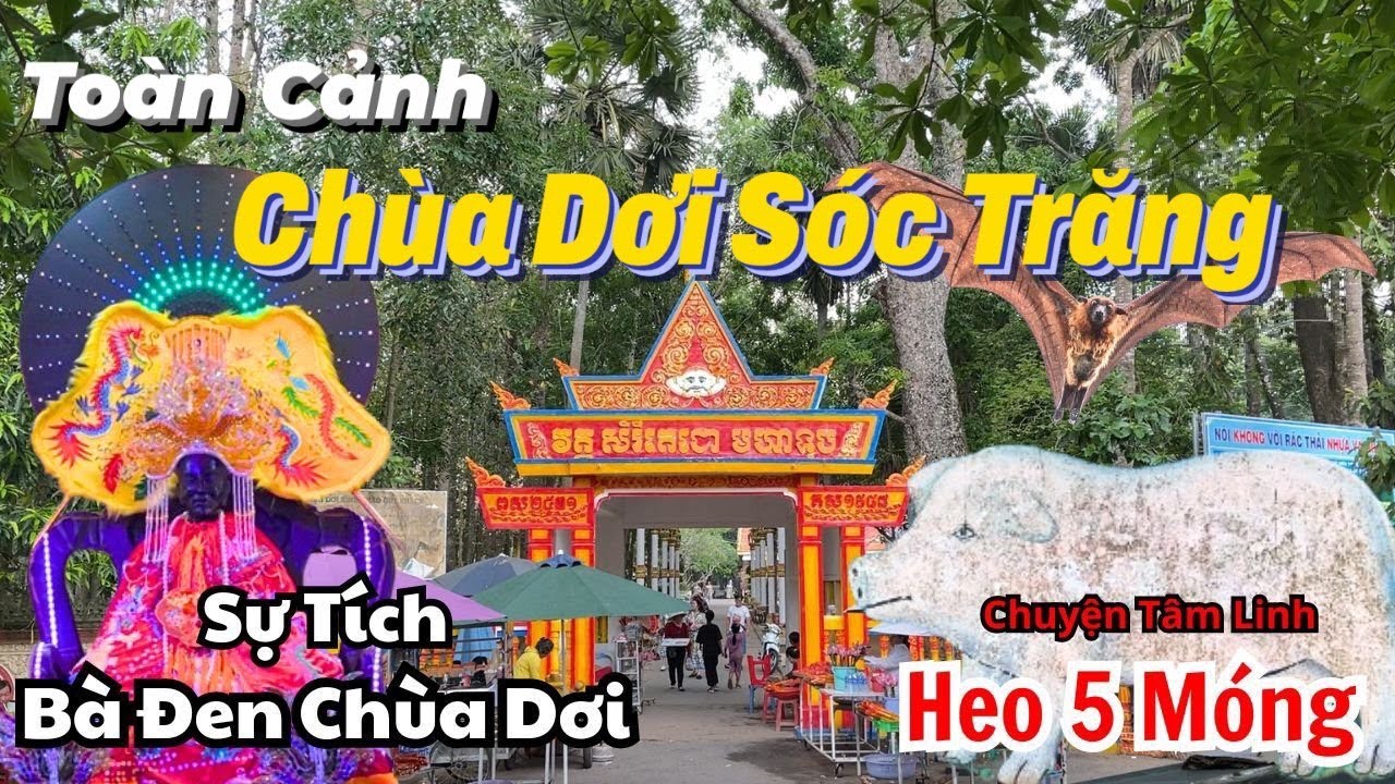 Sự Tích Bà Đen Của Chùa Dơi Sóc Trăng & Chuyện Tâm Linh Heo Năm Móng Chùa Mahatup | Chùa Mã Tộc