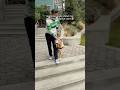 Guide dog leads blind man down flight of stairs #shorts