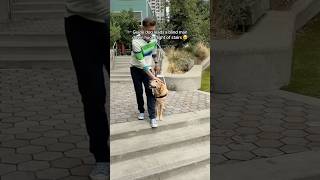 Guide dog leads blind man down flight of stairs #shorts