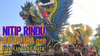 NITIP RINDU ❗️❗️❗️BUROK AJI PUTRA LIVE LUWUNG BATA