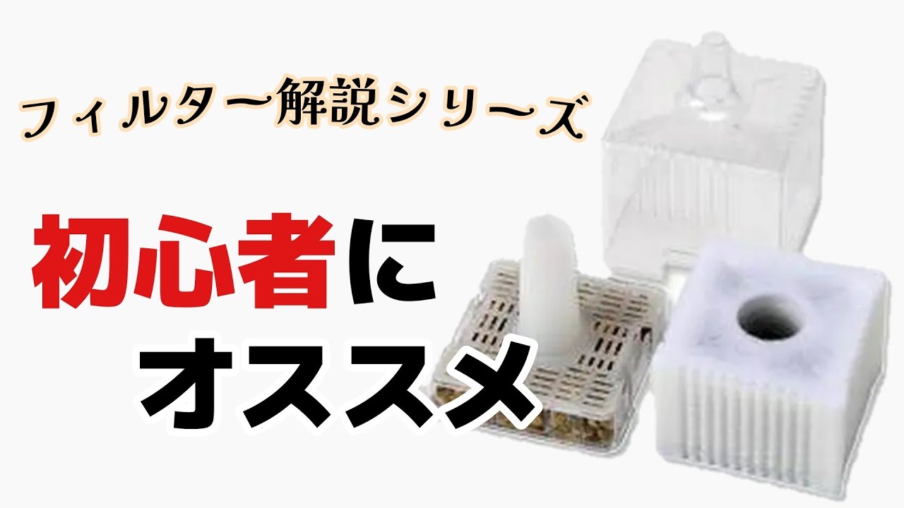 【フィルター解説】エアリフト式の投げ込みフィルターについて徹底解説！カメとの相性についても深堀りしていきます。【亀飼育】