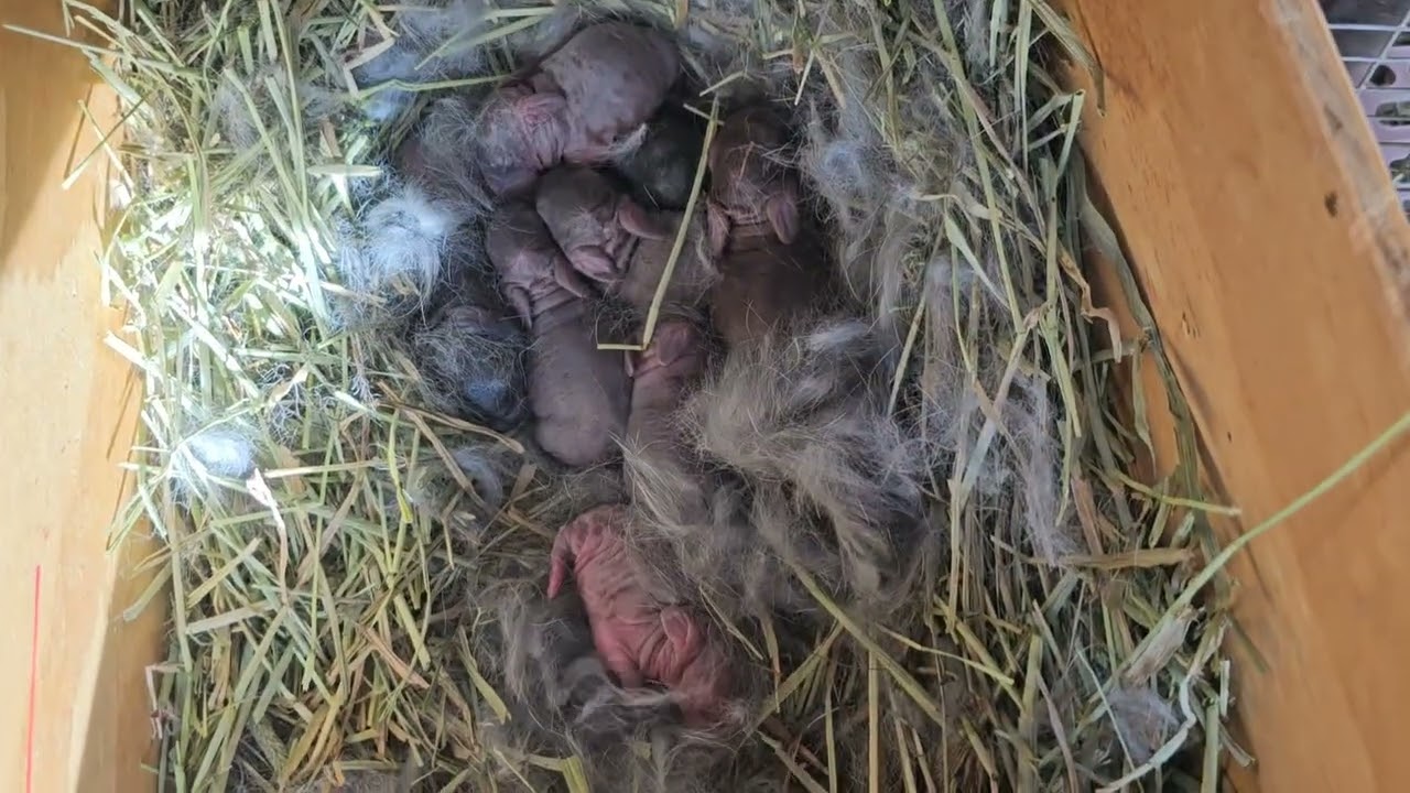 Our first batch of 2026!