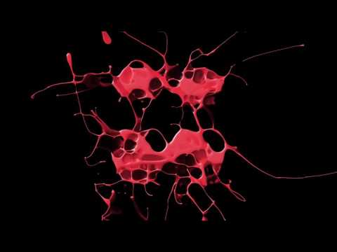 Watch Alex Roque Feat. Sebastian Ledher - You Could Be Mine (Original Club Mix) on YouTube