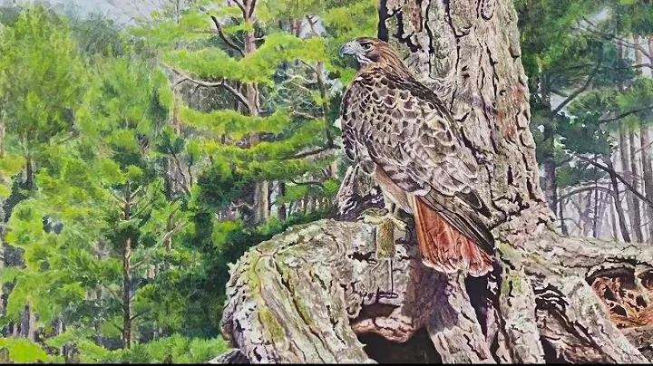 Artist Kelly Singleton on "Red Tail"
