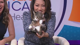 Barb's Precious Rescue: Open House & Adoption Event