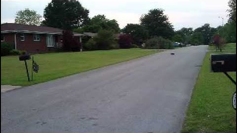 Mamba Monster Rustler 100 + mph Part 2