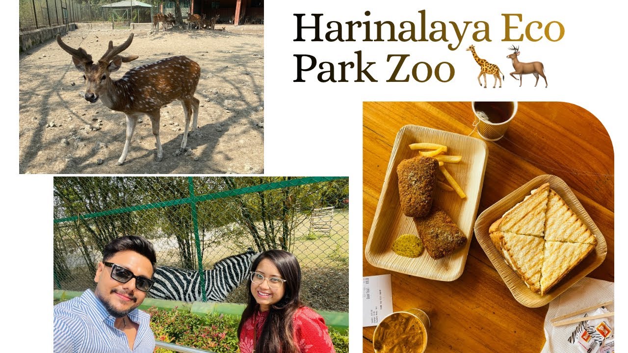 Breakfast Date at Nature’s Cafe☕️ Beautiful morning spent at Harinalaya Eco Park 🦌
