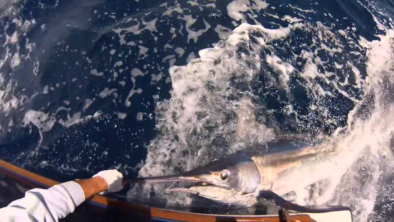 SSFC Big Game Classic Fishing tournament 2013  - Team Ti Jo