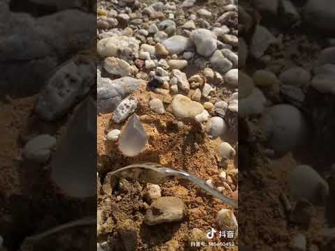 فيديو: متى تم تشكيل الصخر الزيتي؟
