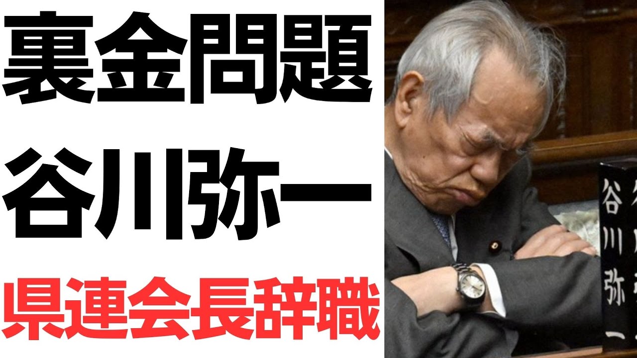 谷川弥一氏の議員辞職と政治資金問題を扱う動画のサムネイル