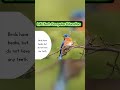 Amazing Fun Facts About Birds 🐦 | Kids Learning Video