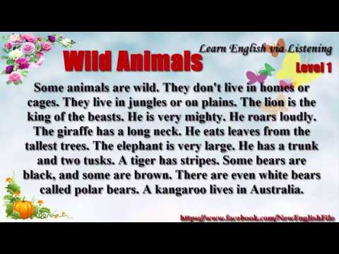 Wild Animals Learn English via Listening Level 1 Unit 42