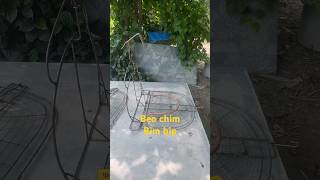 Bẹo chim bìm bịp
