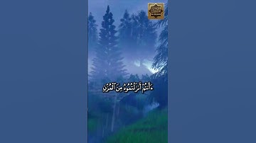 سورة الواقعة - أفرأيتم الماء الذي تشربون - القارئ الشيخ محمد صديق المنشاوى