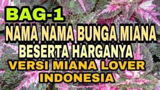MIANA FLOWER NAMES BY MIANA LOVERS IN INDONESIA AND THEIR PRICES!!!