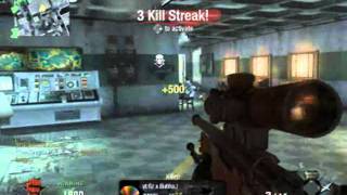 COD BO: L96 Collateral