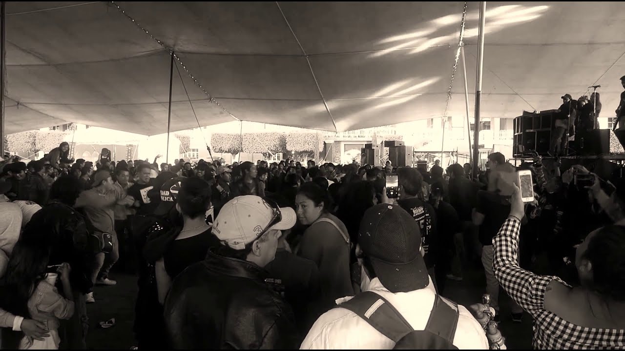 camera iphone 8 plus apk Primer Festival de Rock | ROEDOR | Explanada | Valle de Chalco | 50 años de Rock |Domingo 2 de Junio