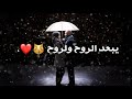تدري شتمنى سيف نبيل مع الكلمات بدون حقوق 