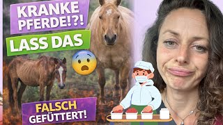 Niemand spricht darüber: Inhaltsstoffe Check im Oldie-Futter! Katastrophe 