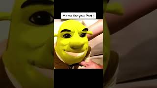 Memes I Found On Tiktok