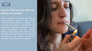 Same Cannabis Strains Can Affect Different People Differently Here Why