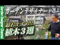 【 プロがすすめる植木 】まずはこの中から検討してください【お庭リフォーム】