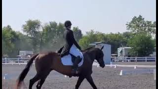 Redemption Song Dressage Test at Maryland International