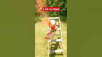 AR-15 vs Head