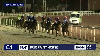 Vidéo de la course PMU PRIX PAINT HORSE