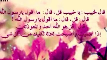 فضل اذكار الصباح والمساء | الشيخ محمد الشنقيطي