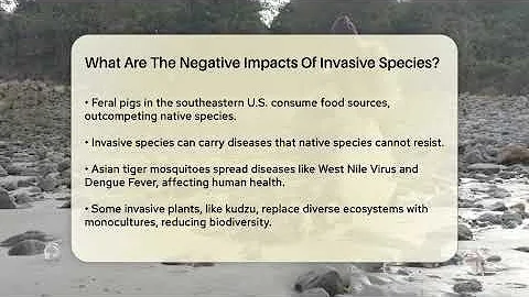 What Are The Negative Impacts Of Invasive Species? - Ecosystem Essentials