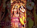 Adharm Madhuran#radheshyam #radheradhe #devotional #yshorts